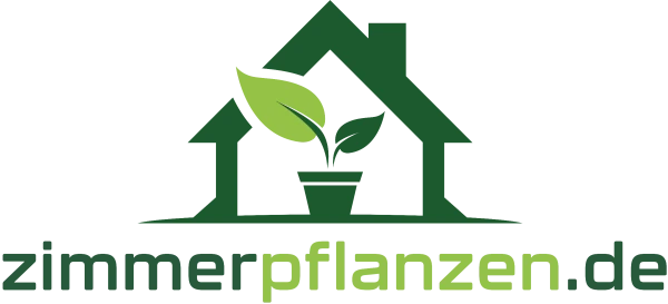 Zur Startseite gehen